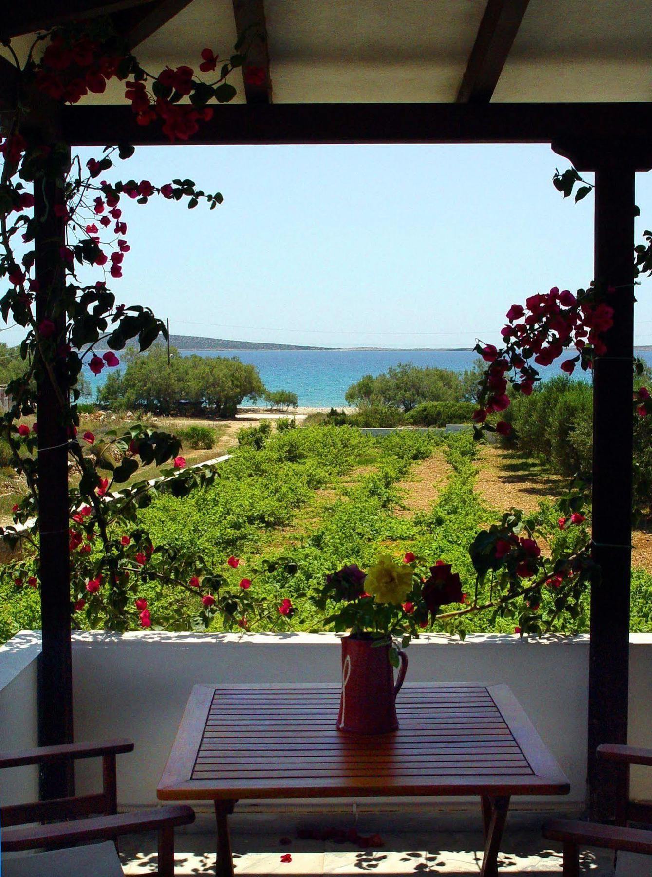Michalis Apartments Near The Beaches With Sea View ปาริเกีย ภายนอก รูปภาพ