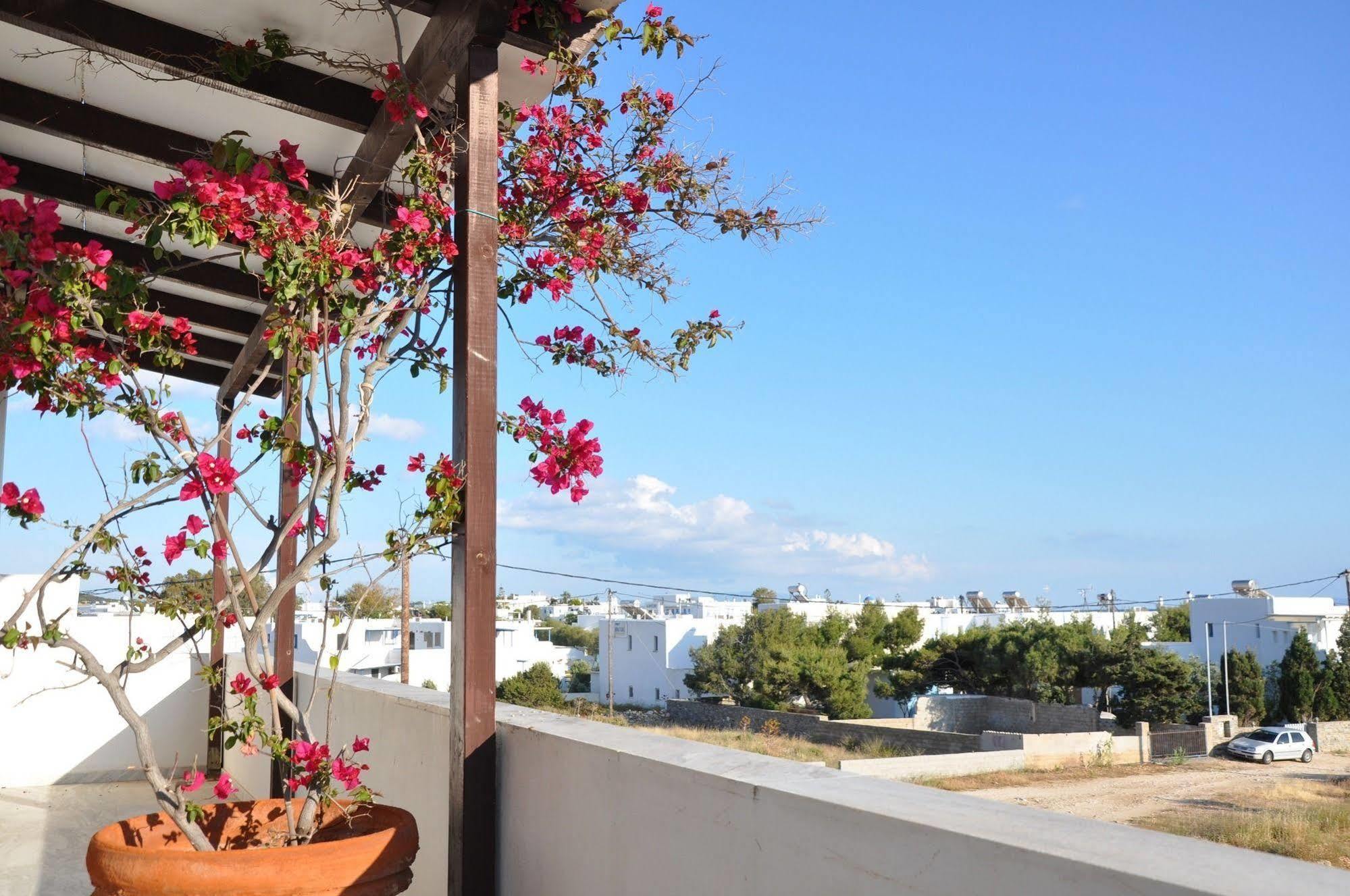 Michalis Apartments Near The Beaches With Sea View ปาริเกีย ภายนอก รูปภาพ